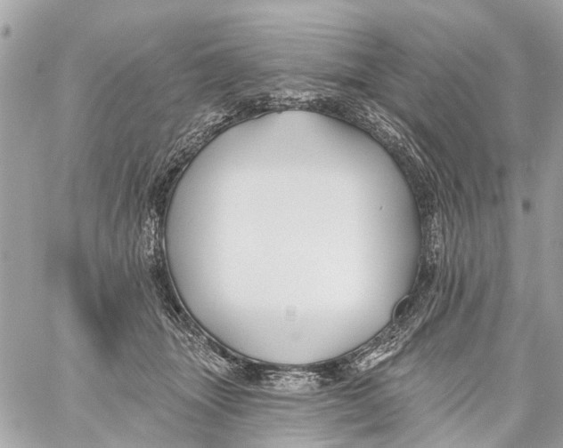 X0000059080463200511041826