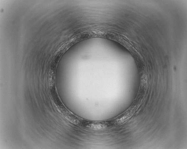 X0000059080464200511041826