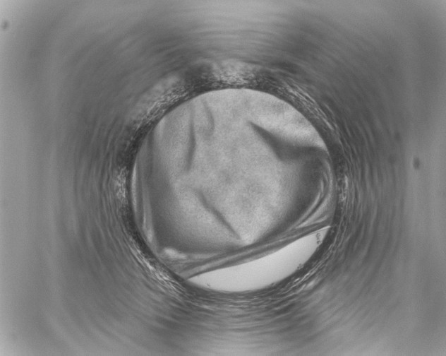 X0000059080466200511041826