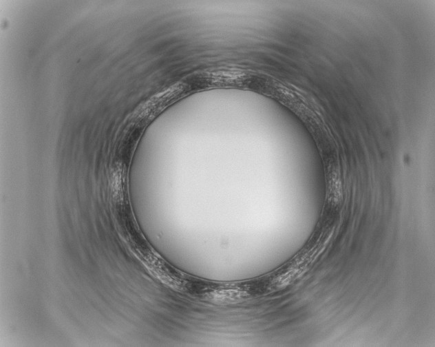 X0000059080468200511041826