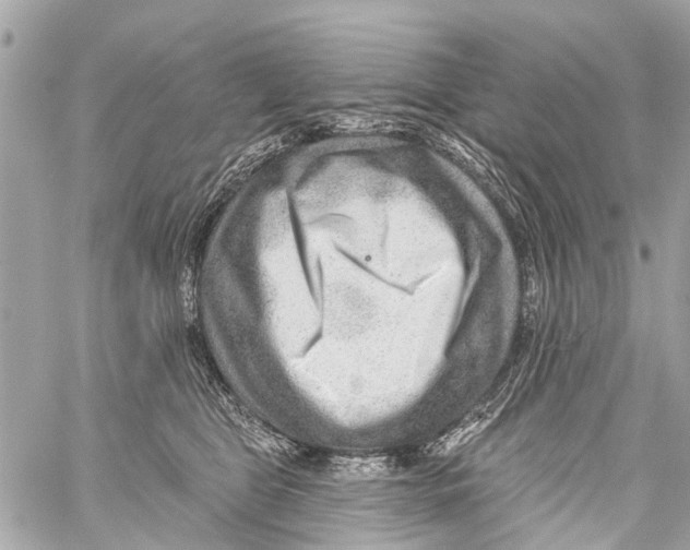 X0000059080469200511041826