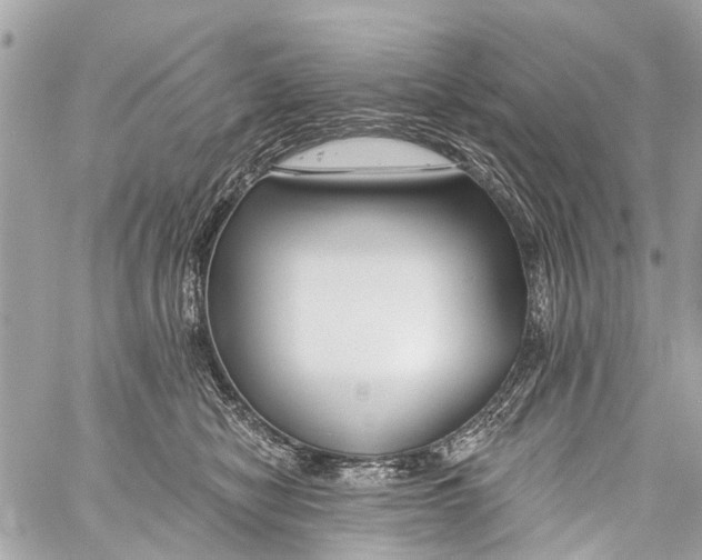 X0000059080470200511041826