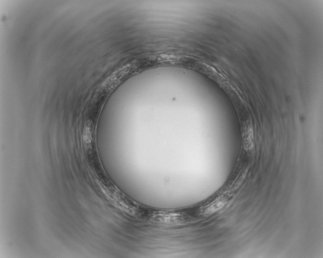 X0000059080472200511041826