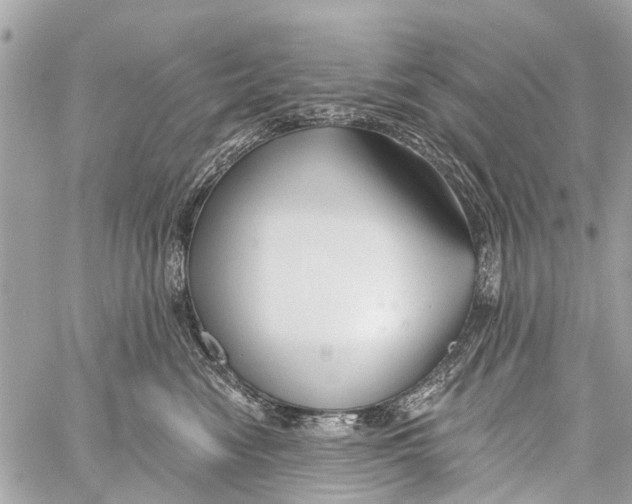 X0000059080474200511041826