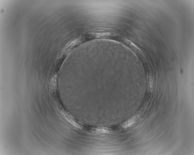 X0000059080475200511041826