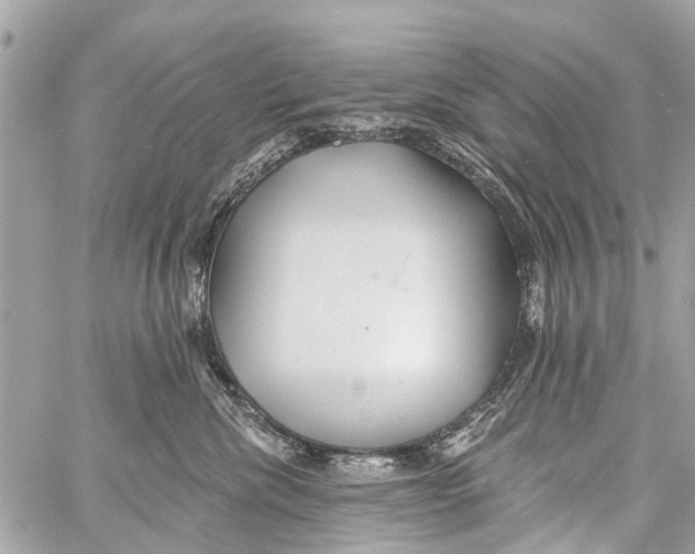 X0000059080476200511041826