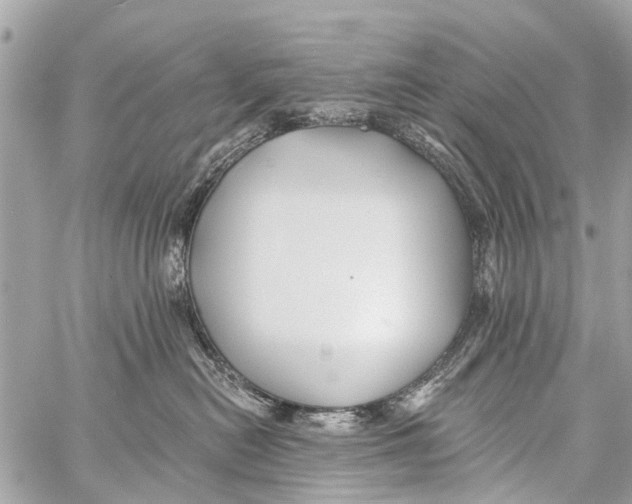 X0000059080478200511041826