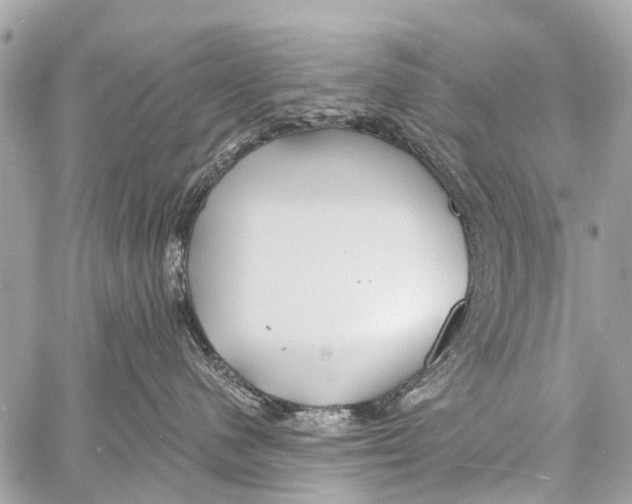 X0000059080480200511041826