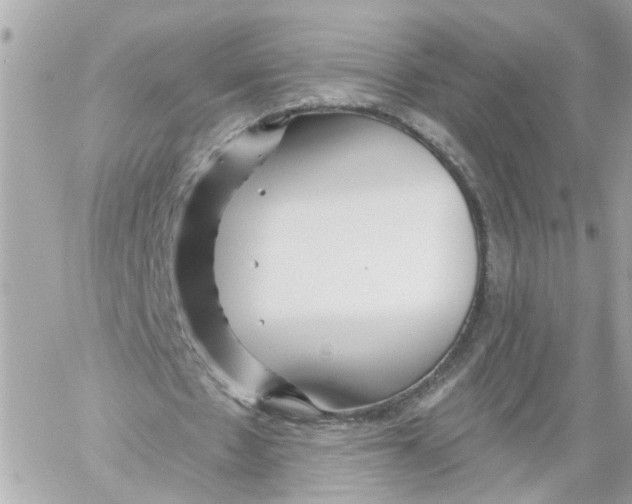 X0000059080481200511041825