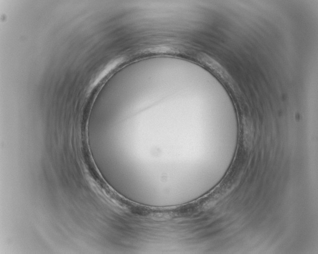 X0000059080482200511041825