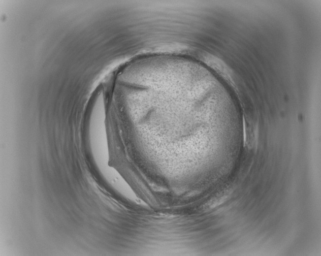 X0000059080483200511041825