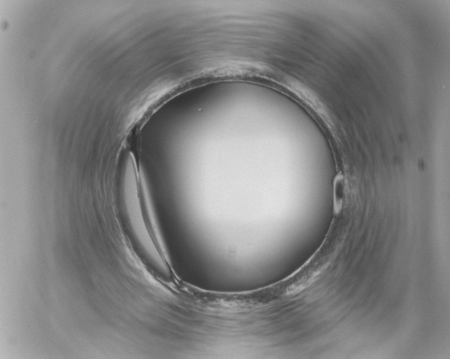 X0000059080485200511041825