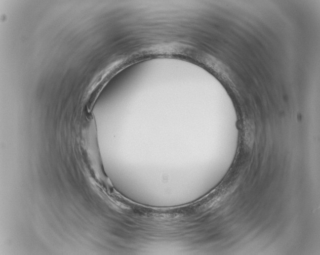 X0000059080486200511041825