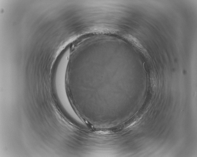 X0000059080488200511041825