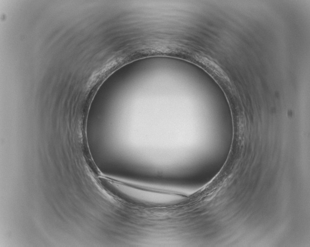 X0000059080489200511041825