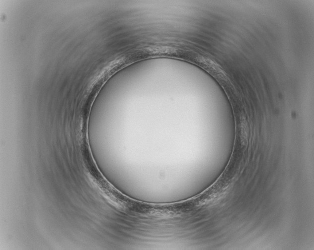 X0000059080490200511041825