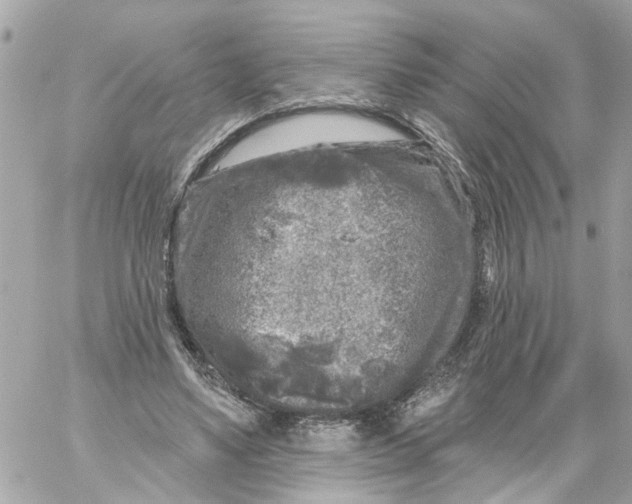 X0000059080491200511041825