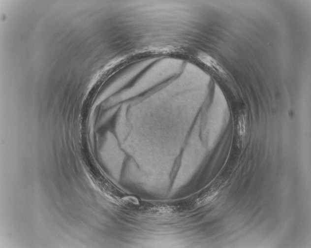 X0000059080492200511041825