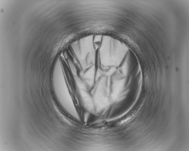 X0000059080493200511041825