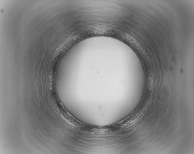 X0000059080497200511041825