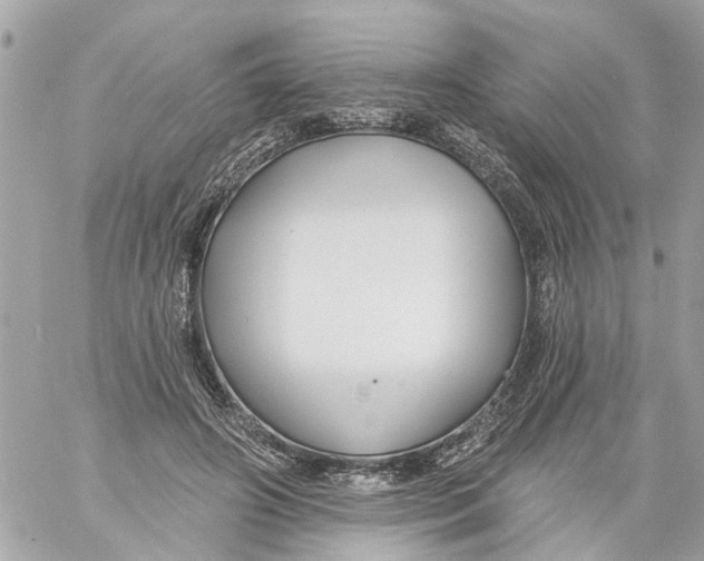 X0000059080498200511041825