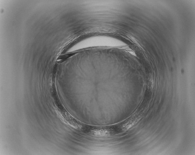 X0000059080500200511041825