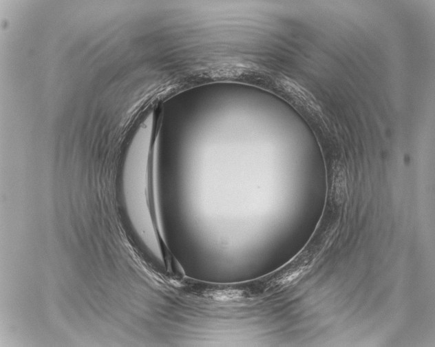 X0000059080501200511041825