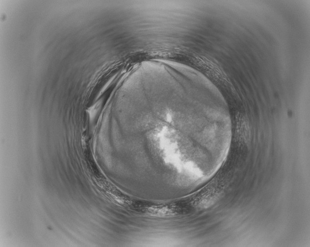 X0000059080502200511041825