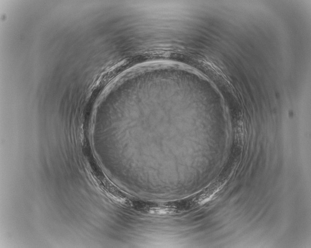 X0000059080504200511041825