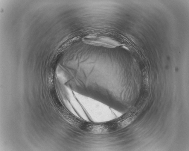 X0000059080507200511041825