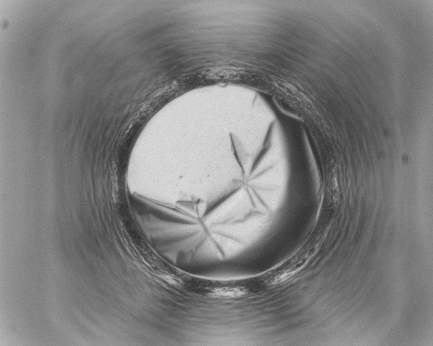 X0000059080508200511041825