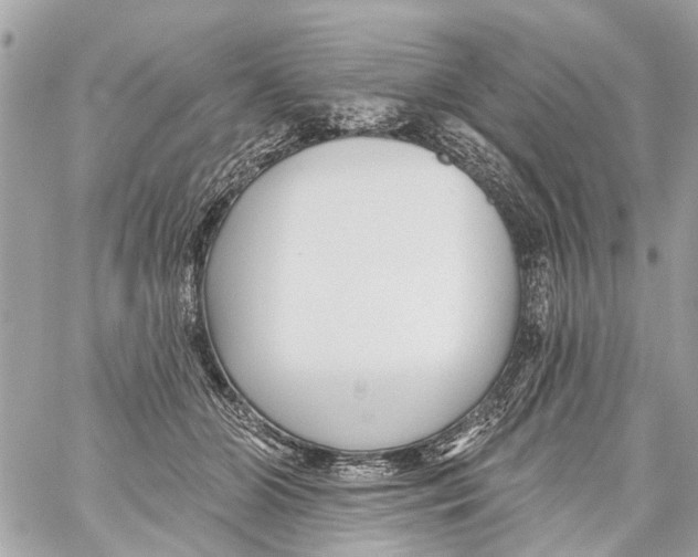 X0000059080510200511041825