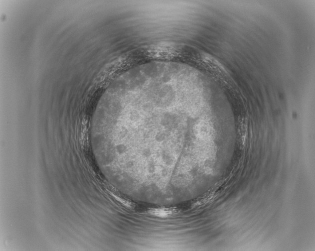 X0000059080511200511041824