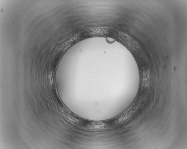 X0000059080514200511041824