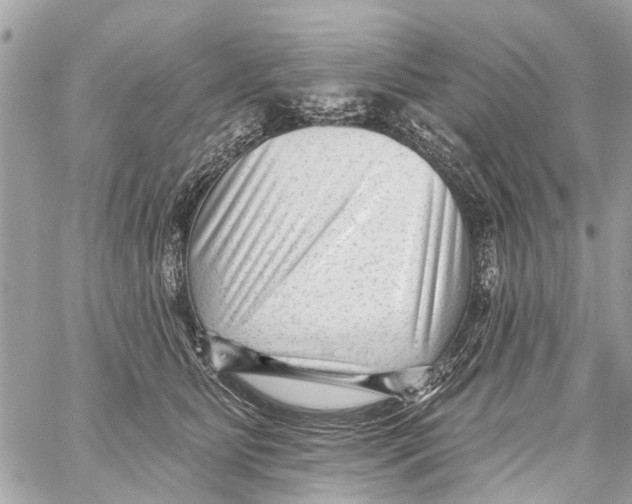 X0000059080515200511041824