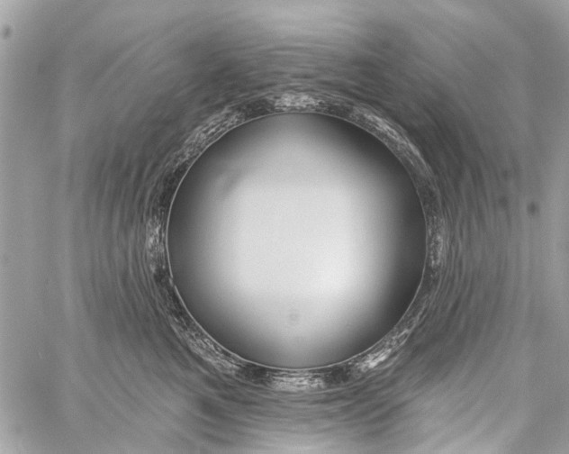 X0000059080521200511041824