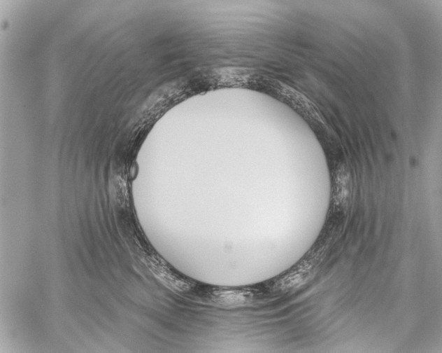 X0000059080522200511041824