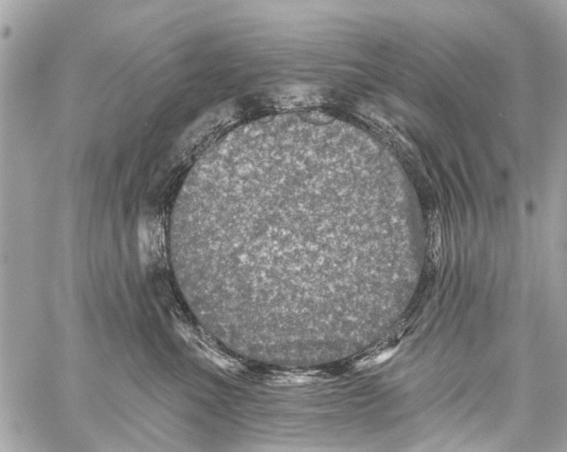 X0000059080523200511041824