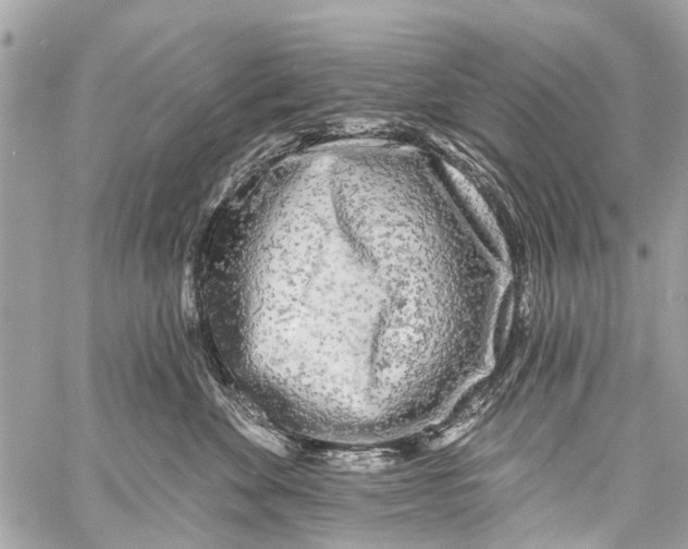 X0000059080524200511041824