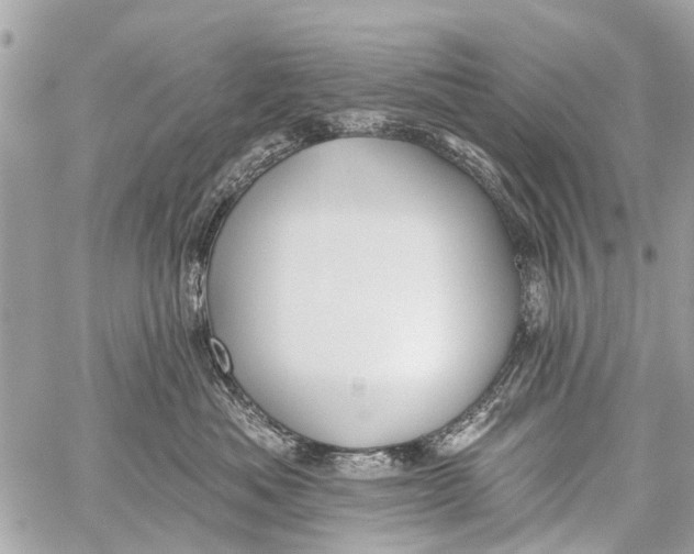 X0000059080525200511041824