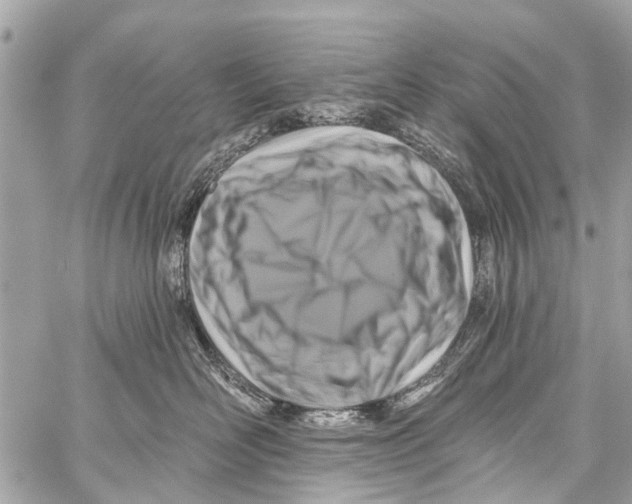 X0000059080526200511041824