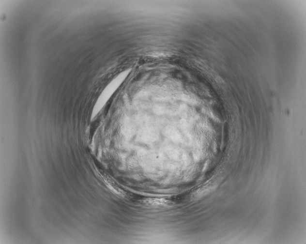 X0000059080528200511041824