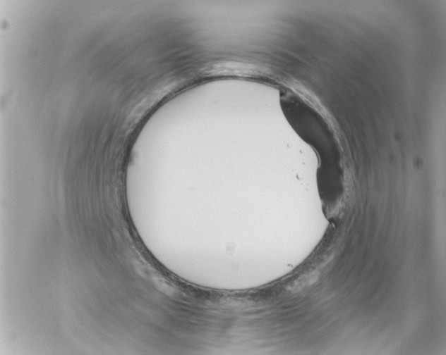 X0000059080529200511041823