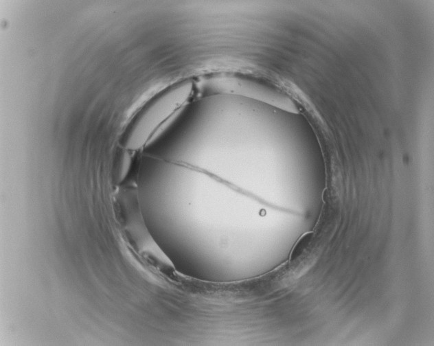 X0000059080530200511041823