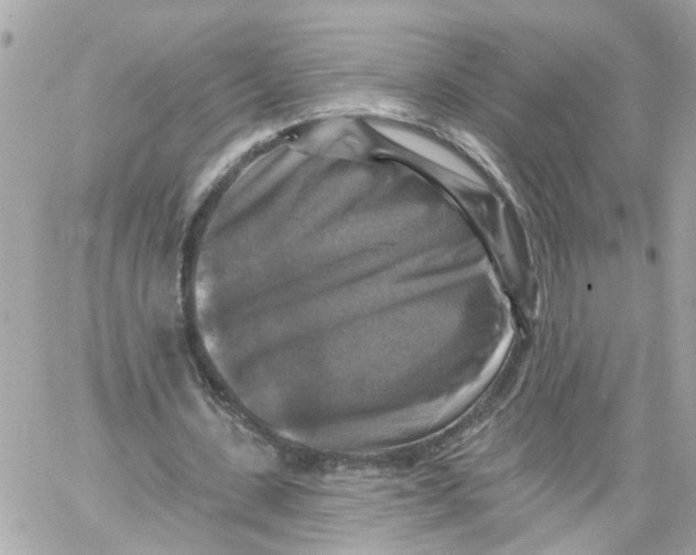 X0000059080531200511041823