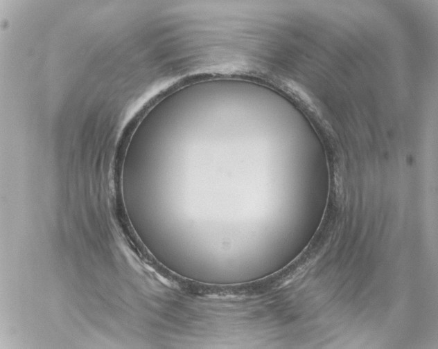 X0000059080532200511041823