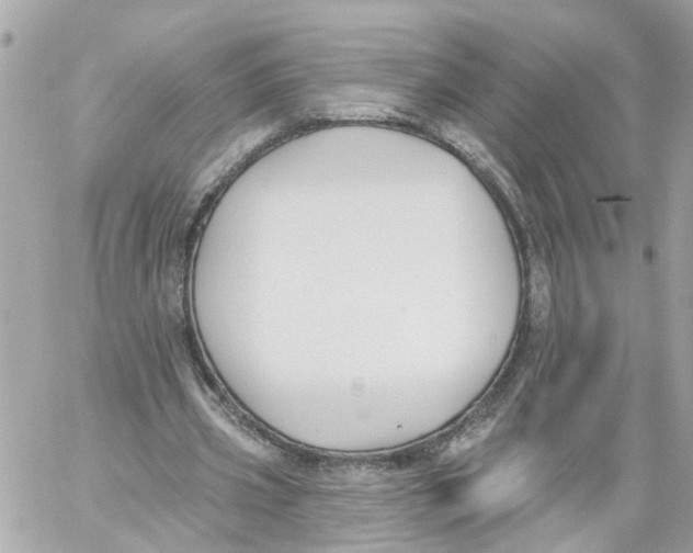 X0000059080533200511041823