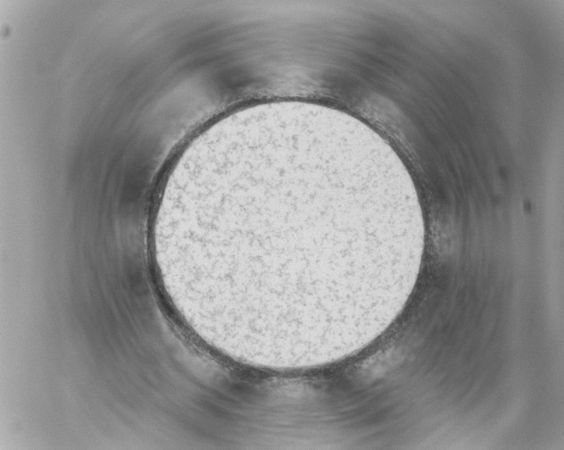 X0000059080534200511041823