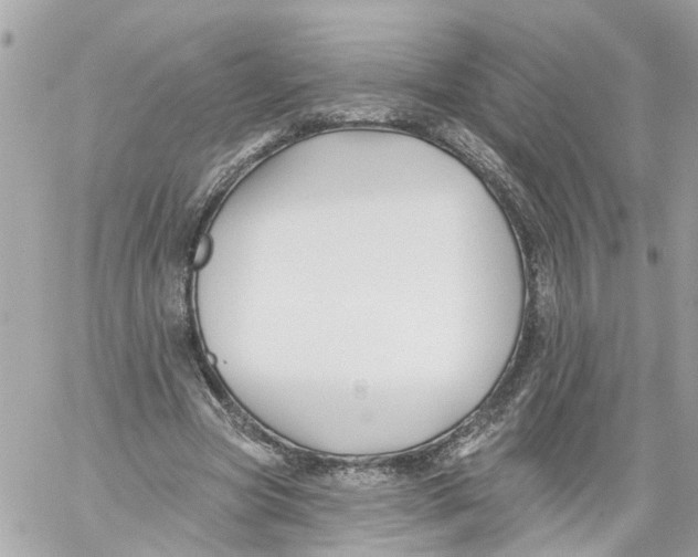 X0000059080537200511041824