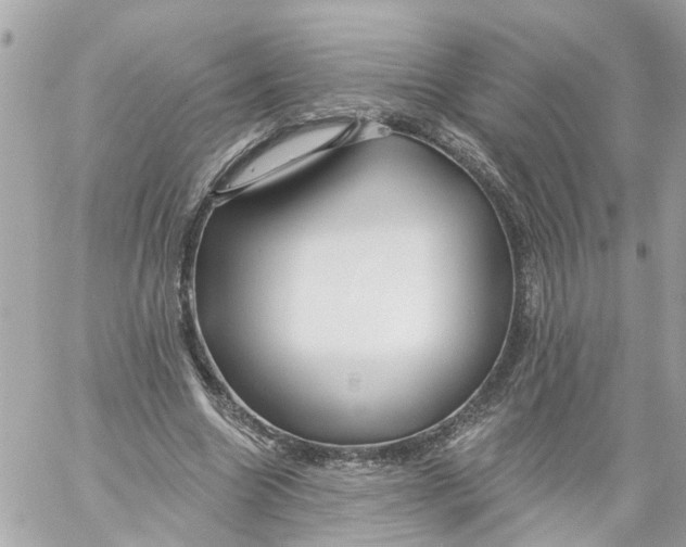 X0000059080538200511041824